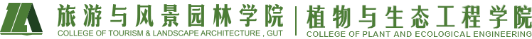 旅游学院 旅游学院
